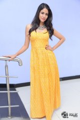 Lavanya Tripathi At Srirastu Subhamastu Movie 1st Song Launch